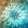 Virus humane imunodeficijencije (HIV)